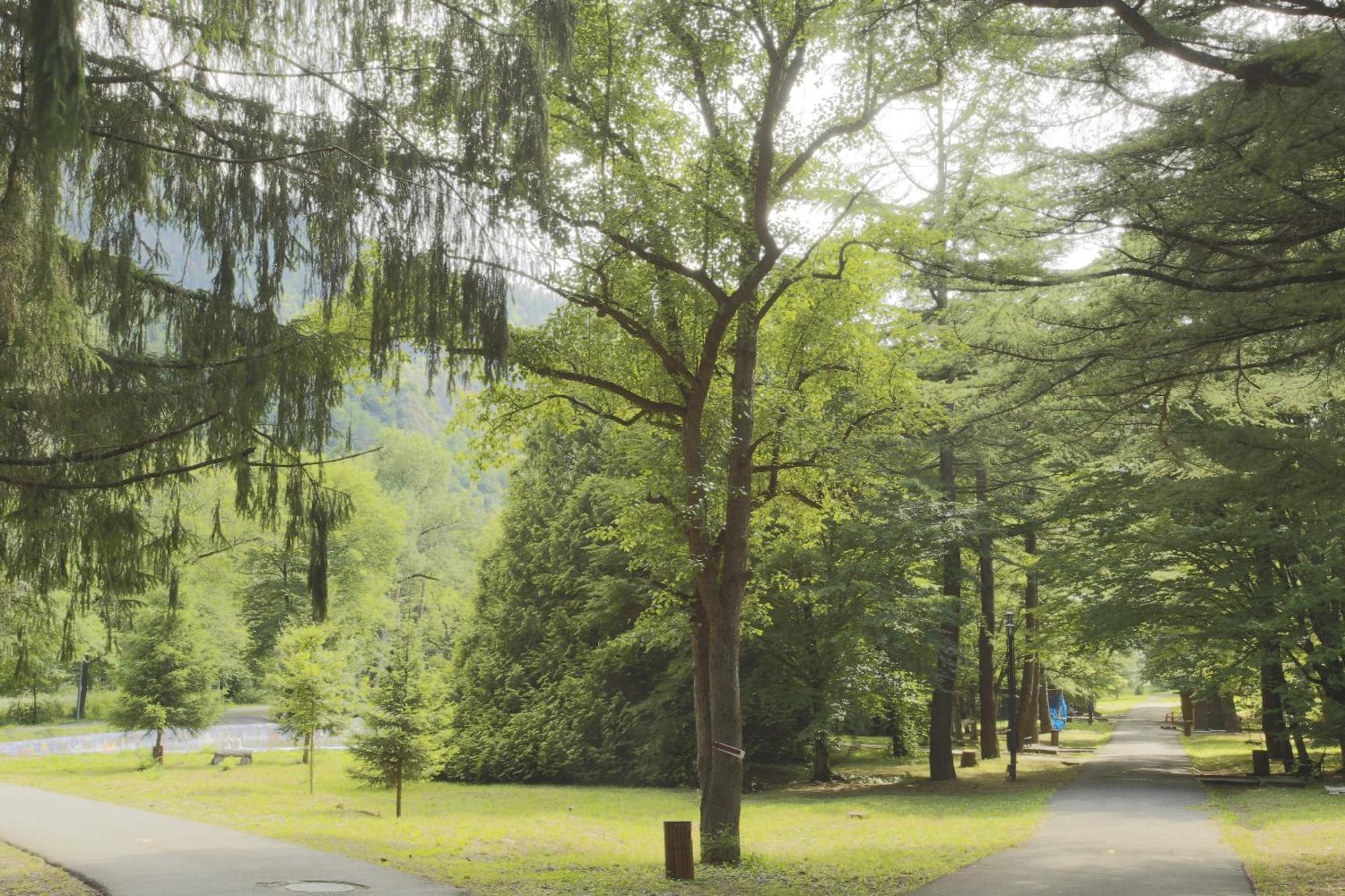 مركز بورجومي ليكاني للرعاية الصحية المظهر الخارجي الصورة The park